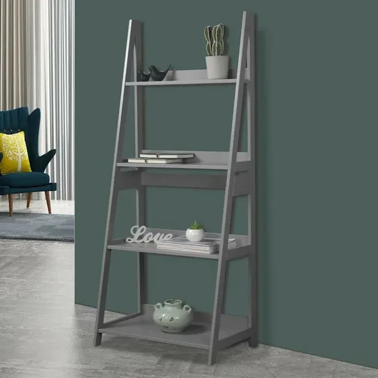 BOXED ALEXIAS 150CM H × 63CM W LADDER BOOKCASE