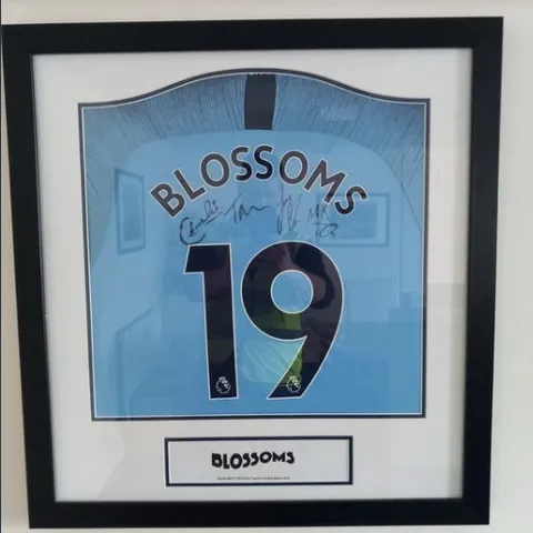 FRAMED AND MOUNTED MANCHESTER CITY SHIRT SIGNED BY STOCKPORT BASED BAND BLOSSOMS- ALL PROCEEDS WILL GO DIRECTLY TO CHARITY 