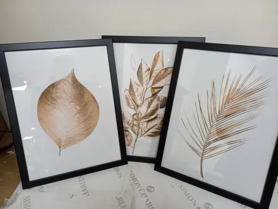 3 FRAMED 30x45cm PRINTS OF LEAVES