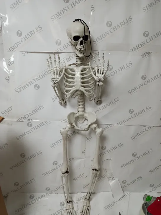 BOXED SKELETON HALLOWEEN DECORATING 