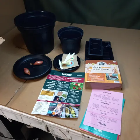 LOT OF ASSORTED PLANT POTS AND GROWING KITS