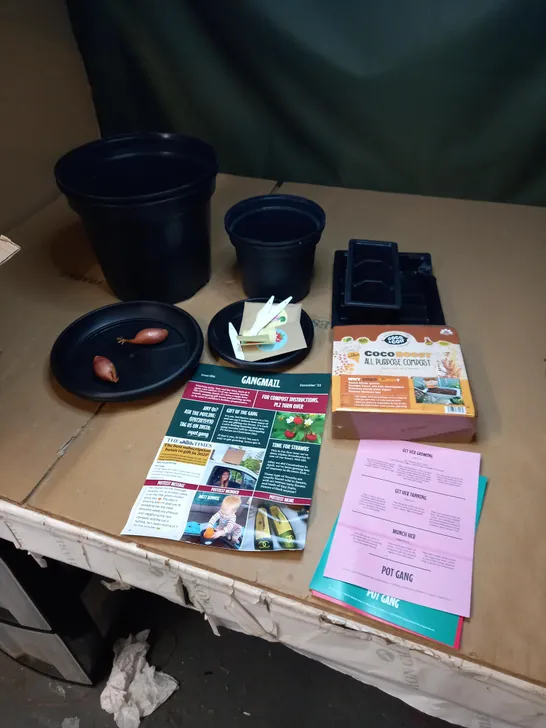 LOT OF ASSORTED PLANT POTS AND GROWING KITS