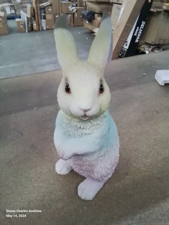 BOXED GARDEN RAINBOW BUNNY