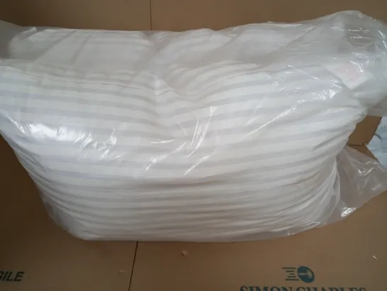 SET OF 2 UNBRANDED PILLOWS 