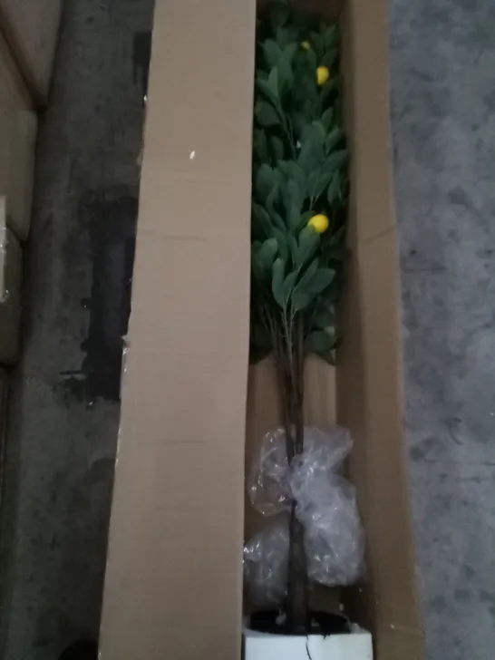 BOXED 150CM ARTIFICIAL LEMON TREE