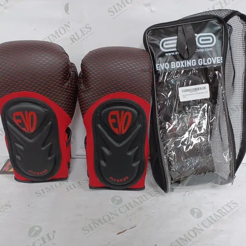 EVO PAIR OF BOXING GLOVES WITH CARRY CASE