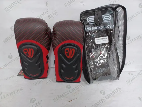 EVO PAIR OF BOXING GLOVES WITH CARRY CASE