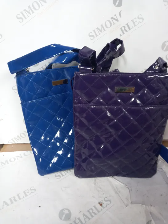 PURPLE AND BLUE SIDE BAGS