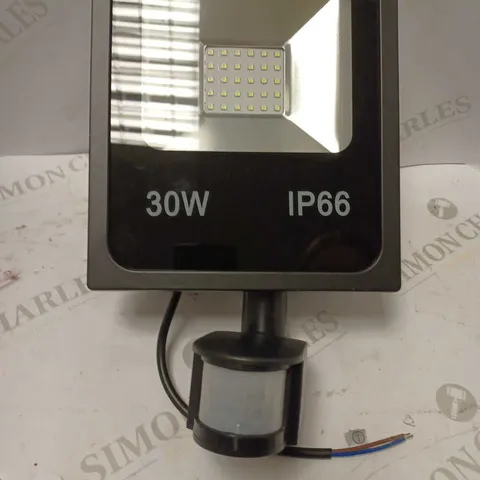 OUTDOOR LIGHT 30W IP66