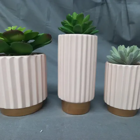 BOXED UNBRANDED FAUX SUCCULENT DECORATIVE TRIO