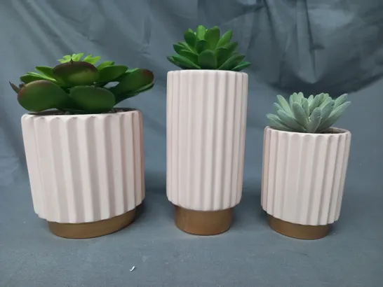 BOXED UNBRANDED FAUX SUCCULENT DECORATIVE TRIO