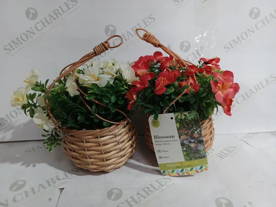 BASKET BOUQUETS 2 PACK RRP £24.99