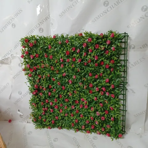 BOX OF GARDEN ROSE LIVING WALL