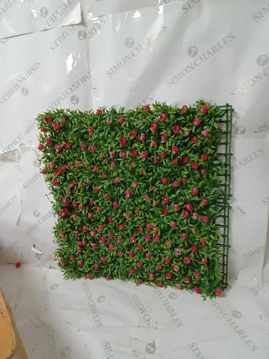 BOX OF GARDEN ROSE LIVING WALL