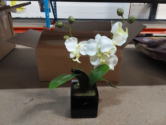 BOXED ARTIFICIAL ORCHID PLANT IN POT (1 BOX)