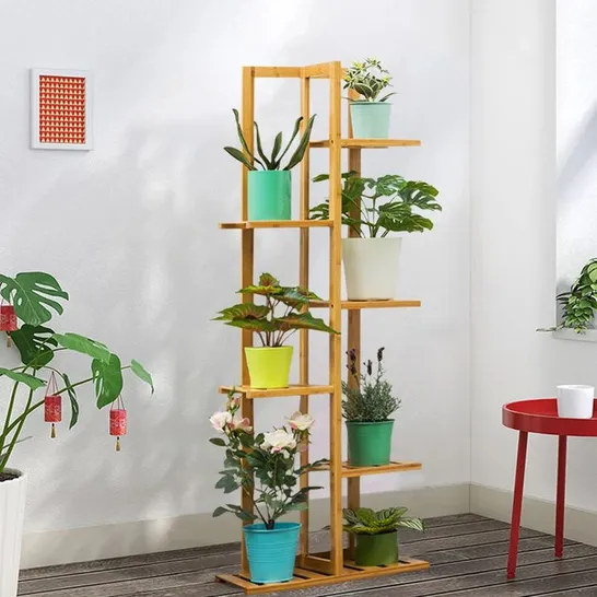 BOXED ALEXANDER FREE FORM MULTI-TIERED RUBBER WOOD PLANT