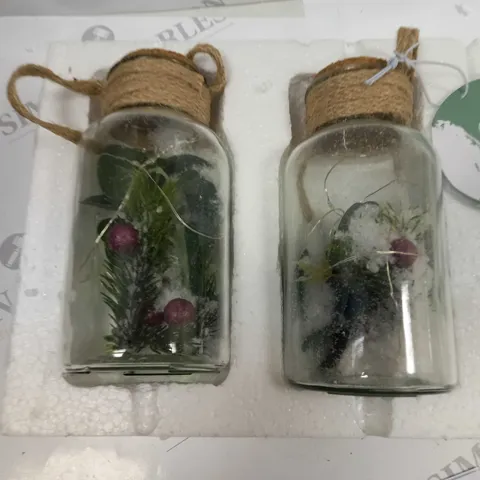 SARAH DAVIES SET OF 2 PRE LIT FOLIAGE GLASS JARS