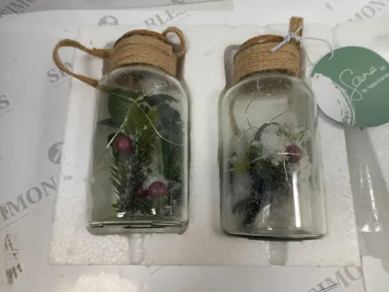 SARAH DAVIES SET OF 2 PRE LIT FOLIAGE GLASS JARS