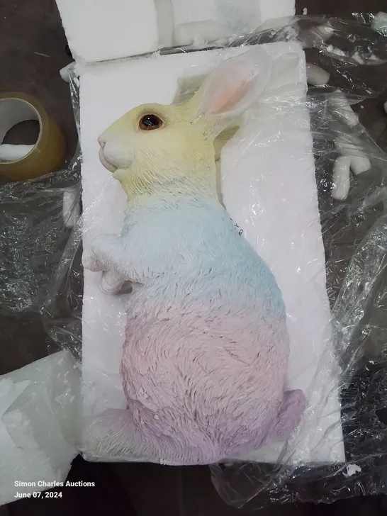 BOXED GARDEN RAINBOW BUNNY