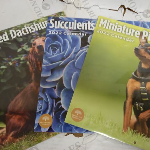 LOT OF APPROXIMATELY 15 ASSORTED 2022 CALENDARS TO INCLUDE LONGHAIRED DACHSHUNDS, SUCCULENTS, MINIATURE PINSCHERS, ETC