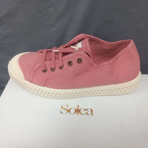 BOXED SOLEA BUMP PALE PINK CANVAS SNEAKERS SIZE 36