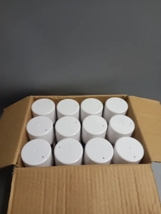 BOXED LOT OF 12 151 WHITE GLOSS SPRAY PAINT 250ML