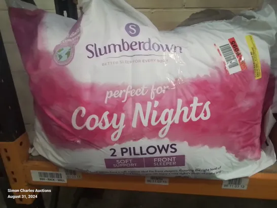 BAGGED SLUMBERDOWN COSY NIGHTS PILLOW 