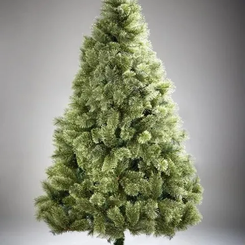 BOXED 7FT CASHMERE TIPS CHRISTMAS TREE (1 BOX)