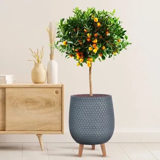 BOXED IDEALIST HONEYCOMB STYLE EGG PLANTER WITH LEGS