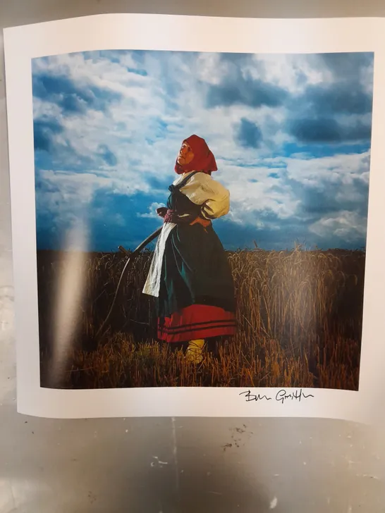 SIGNED BRIAN GRIFFIN A BROKEN FRAME "THE WHEATFIELD LADY" POSTER PRINT 