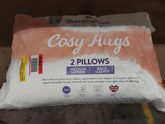 BAGGED SLUMBERDOWN COSY HUGS MEDIUM BACK SUPPORT PILLOWS - SET OF 2 (1 ITEM)