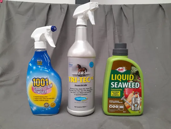 APPROXIMATELY 10 ASSORTED HOUSEHOLD ITEMS TO INCLUDE CARPET STAIN REMOVER, INSECTICIDE, LIQUID SEAWEED, ETC - COLLECTION ONLY