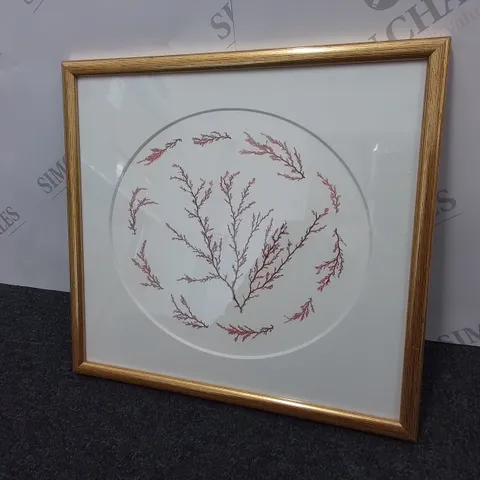 FRAMED 'PRESSED IRISH SEAWEED' - FLORA KINNAIRD