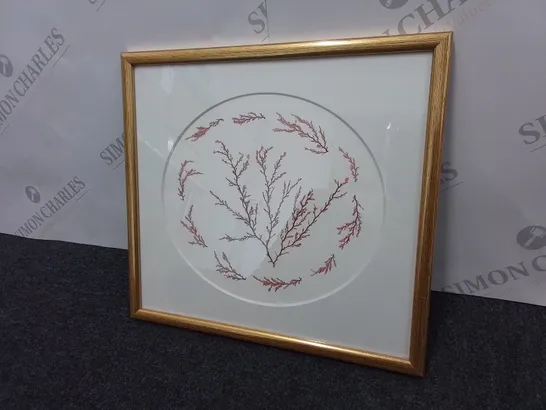 FRAMED 'PRESSED IRISH SEAWEED' - FLORA KINNAIRD