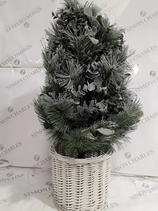 K BY KELLY HOPPEN COTSWOLDS CHOICE OF PRE-LIT GREENERY CHRISTMAS DECORATION