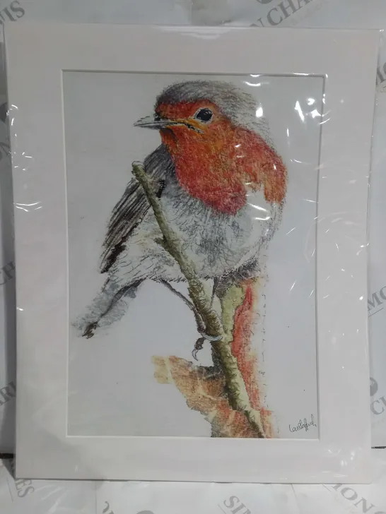 SIGNED ROBIN ILLUSTRATION