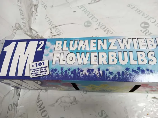 APPROXIMATELY 8 BOXED 1MSQ FLOWERBULBS EACH BOX CONSISTING 101 BULBS TO INCLUDE; ALLIUM, IRIS, CHIONDOXA, TULIPA, NARCISSUS, MUSCARI AND CROCUS