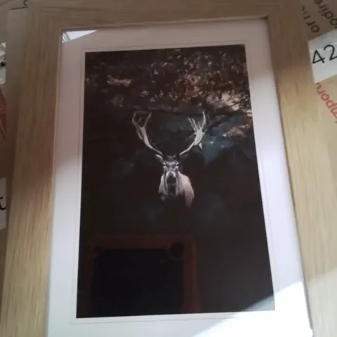 DEER STAG IN THE FOREST - PICTURE FRAME PRINT - 