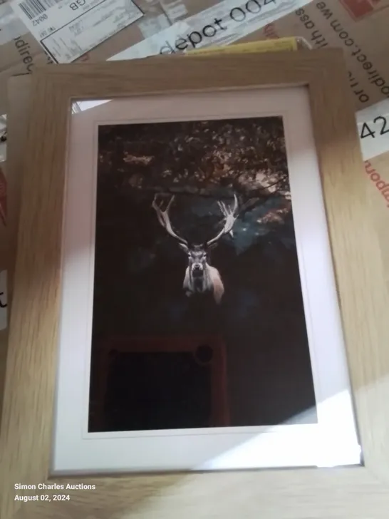 DEER STAG IN THE FOREST - PICTURE FRAME PRINT - 