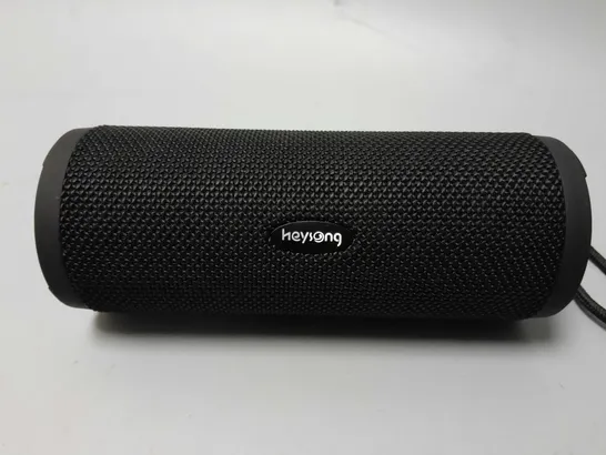 HEYSONG REVERB SPEAKER