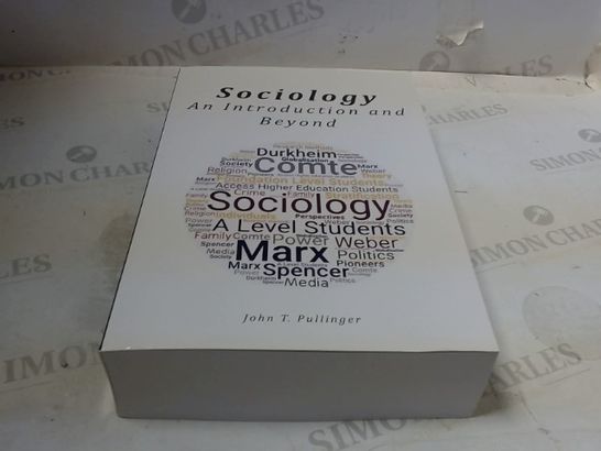 SOCIOLOGY AN INTRODUCTION AND BEYOND - JOHN T PULLINGER