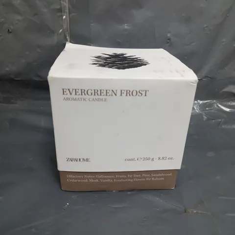 BOXED AND SEALED EVERGREEN FROST AROMATIC CANDLE - 250G 