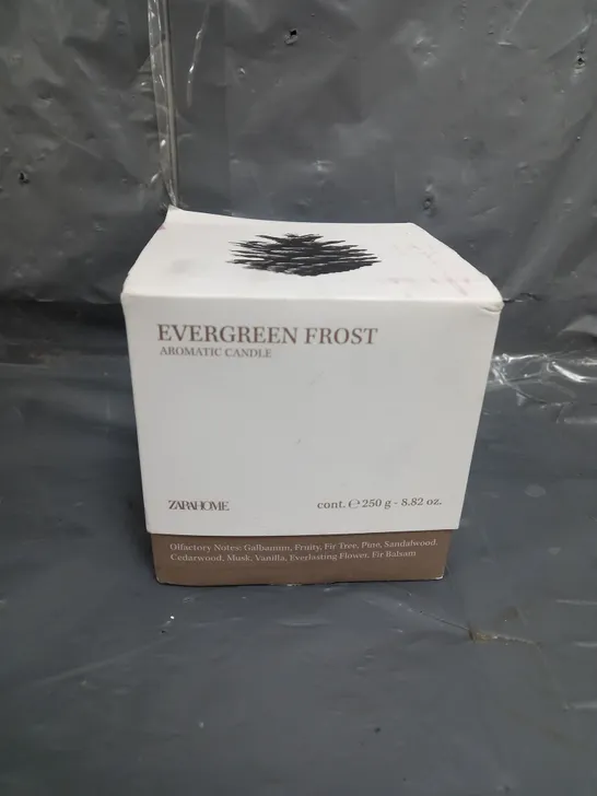 BOXED AND SEALED EVERGREEN FROST AROMATIC CANDLE - 250G 