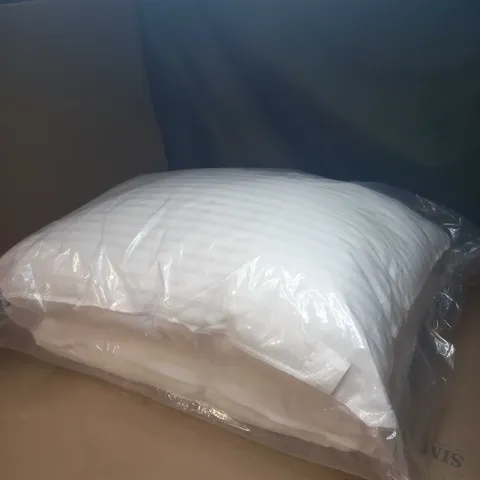 SET OF 2 STANDARD PILLOWS