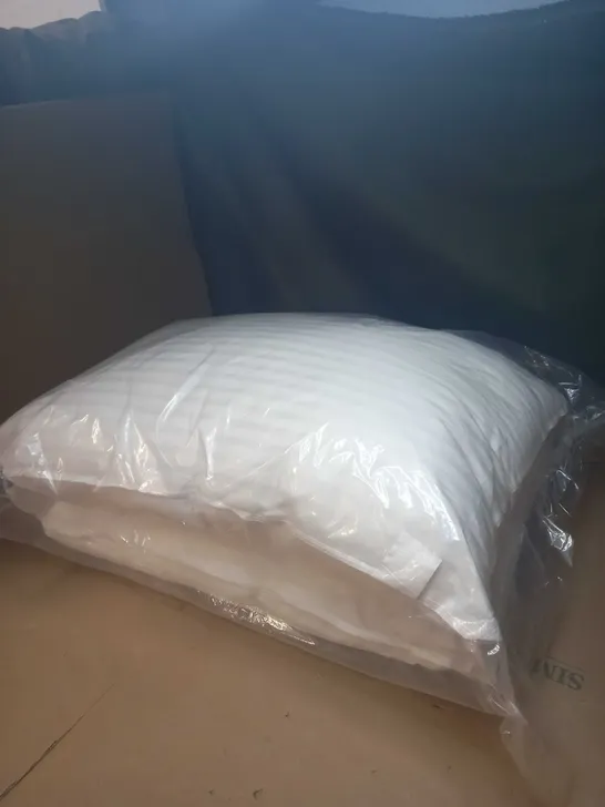 SET OF 2 STANDARD PILLOWS