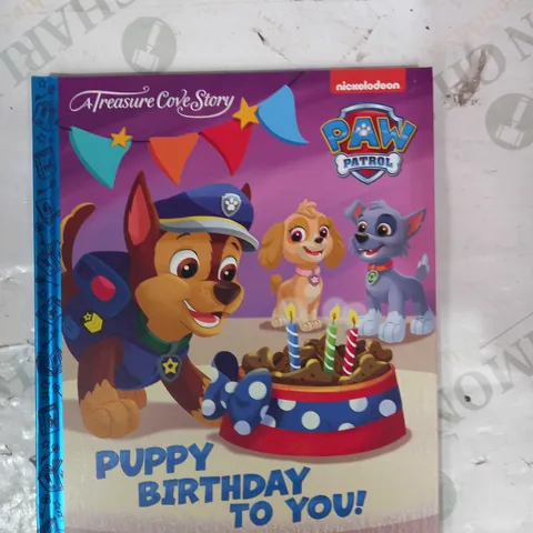 LOT OF APPROXIMATELY 10 TREASURE COVE STORY PAW PATROL PUPPY BIRTHDAY TO YOU BOOKS