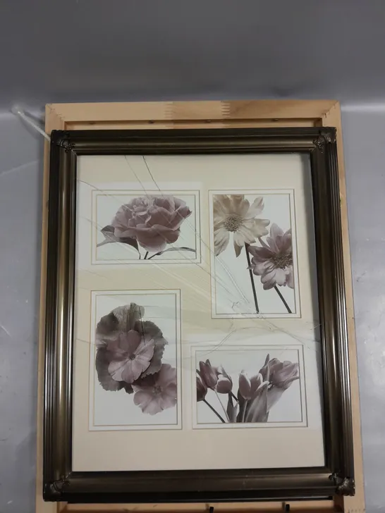 FRAMED QUARTET OF FLOWERS PRINT 