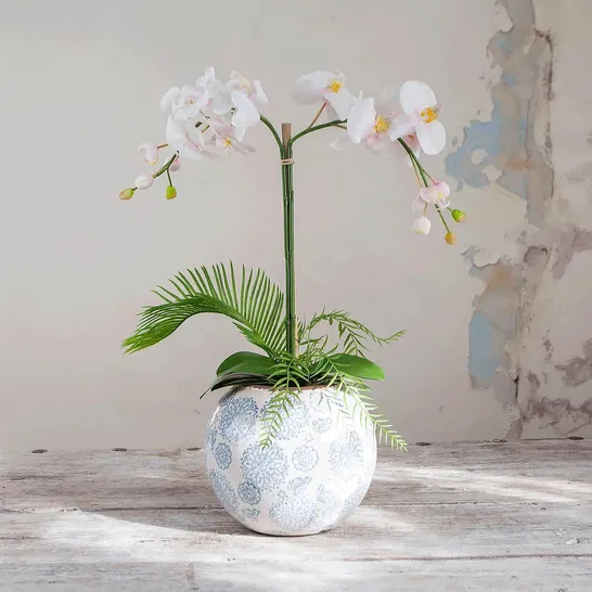 PEONY POTTED PHALAENOPSIS ORCHID IN A BLUE & WHITE PATTERNED BOWL IN PINK