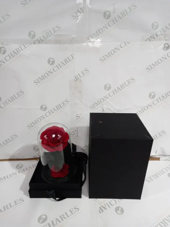 BOXED ROSE IN GLASS 