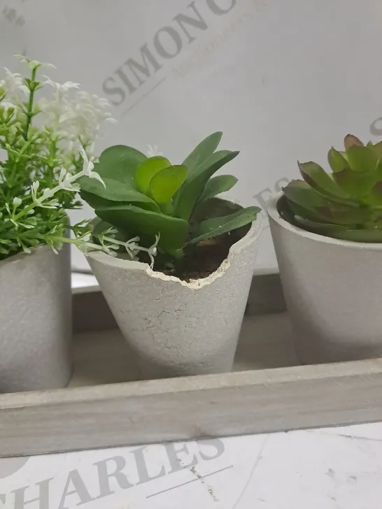 SYNTHETIC PLANTS IN CLAY POT WITH WOODEN TRAY